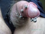 My pierced Cock